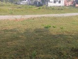 whatsapp_image_20220509_at_5.41.24_pm
